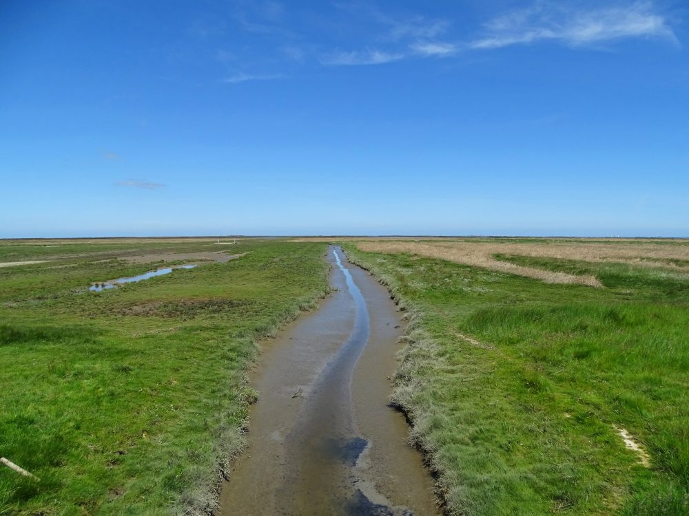 Kwelders Noordpolder